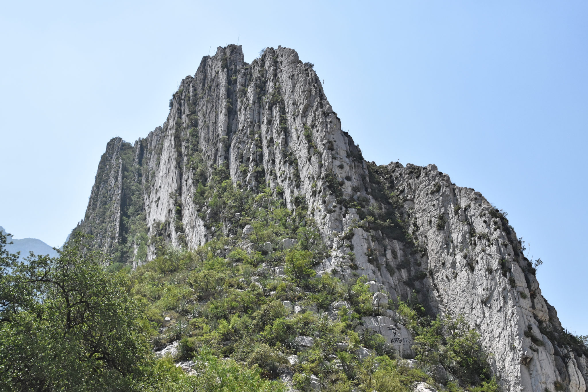 Con protesta pacífica exigirán alto a ecocidios en La Huasteca