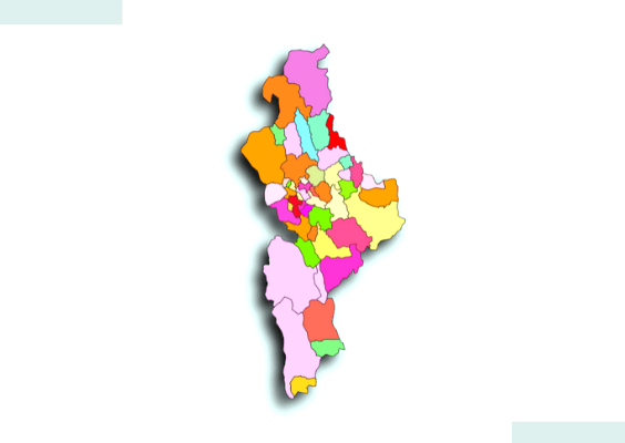 ¿Ya sabes quiénes son los candidatos aspirantes a representar tu distrito?