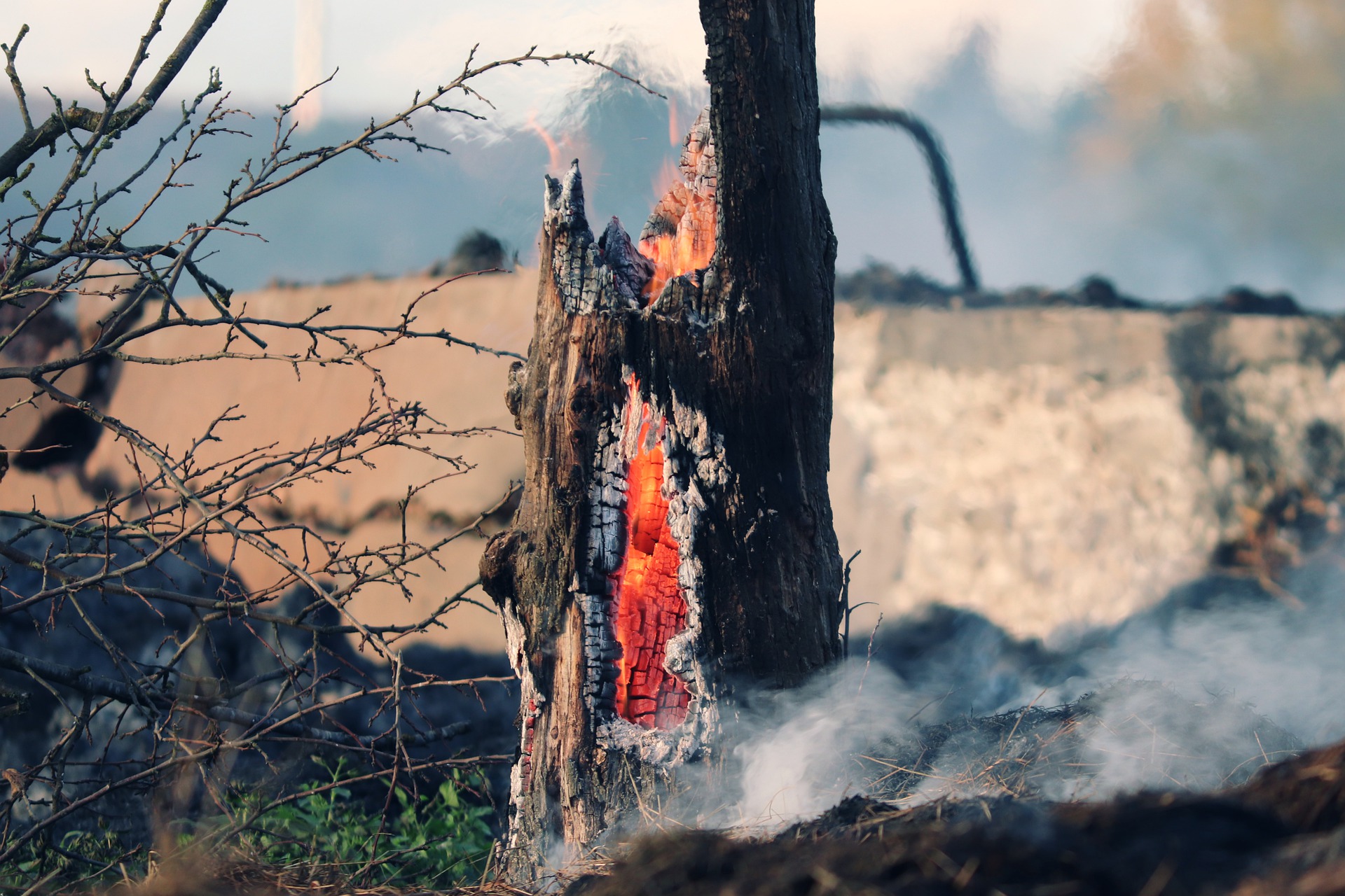 Crisis climática: una amenaza inminente que no estamos atendiendo