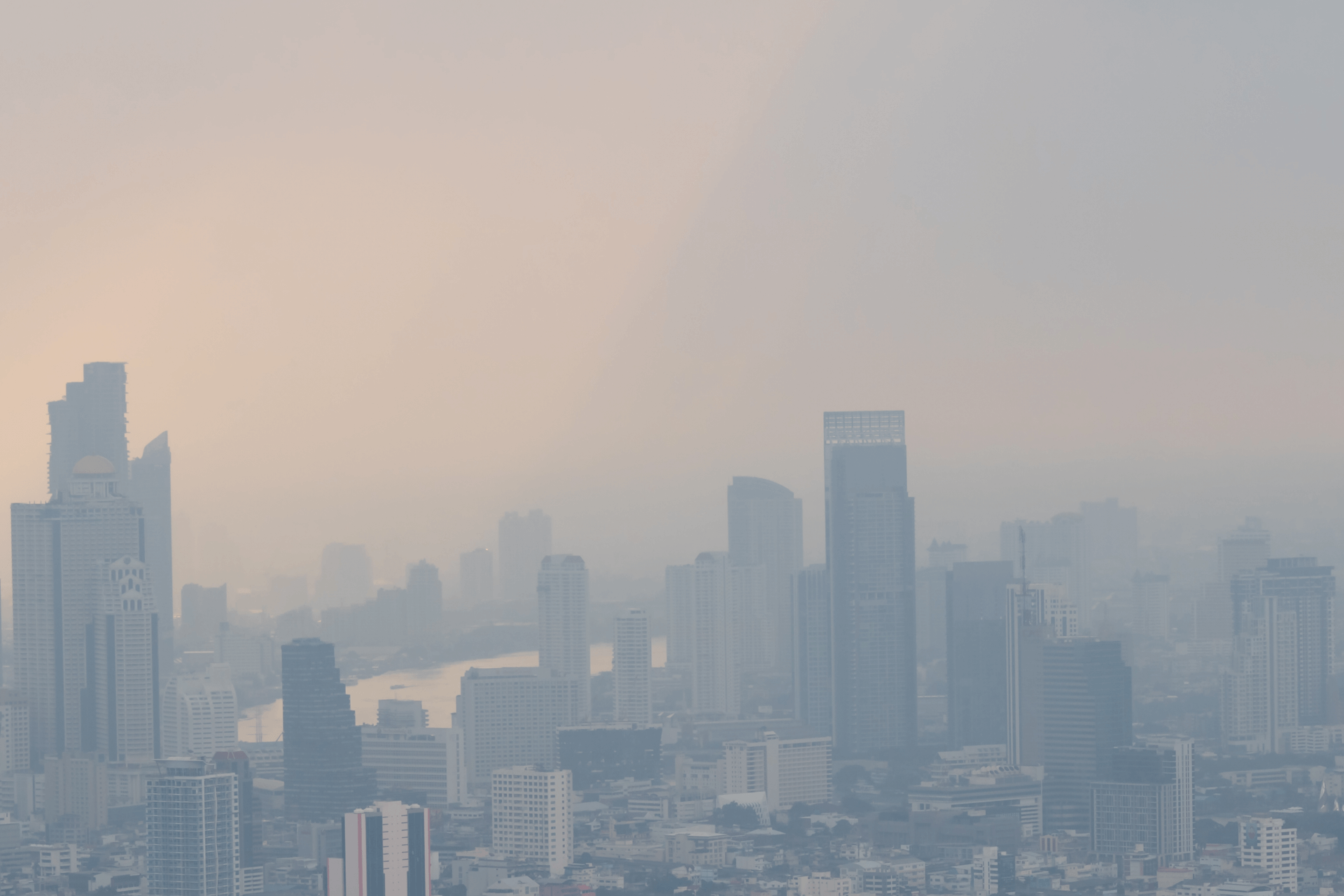 La contaminación se ve, las muertes que provoca no