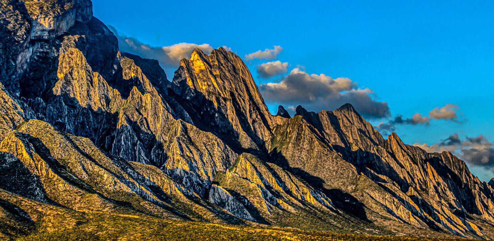 Meta 30-30: la ruta para proteger al planeta