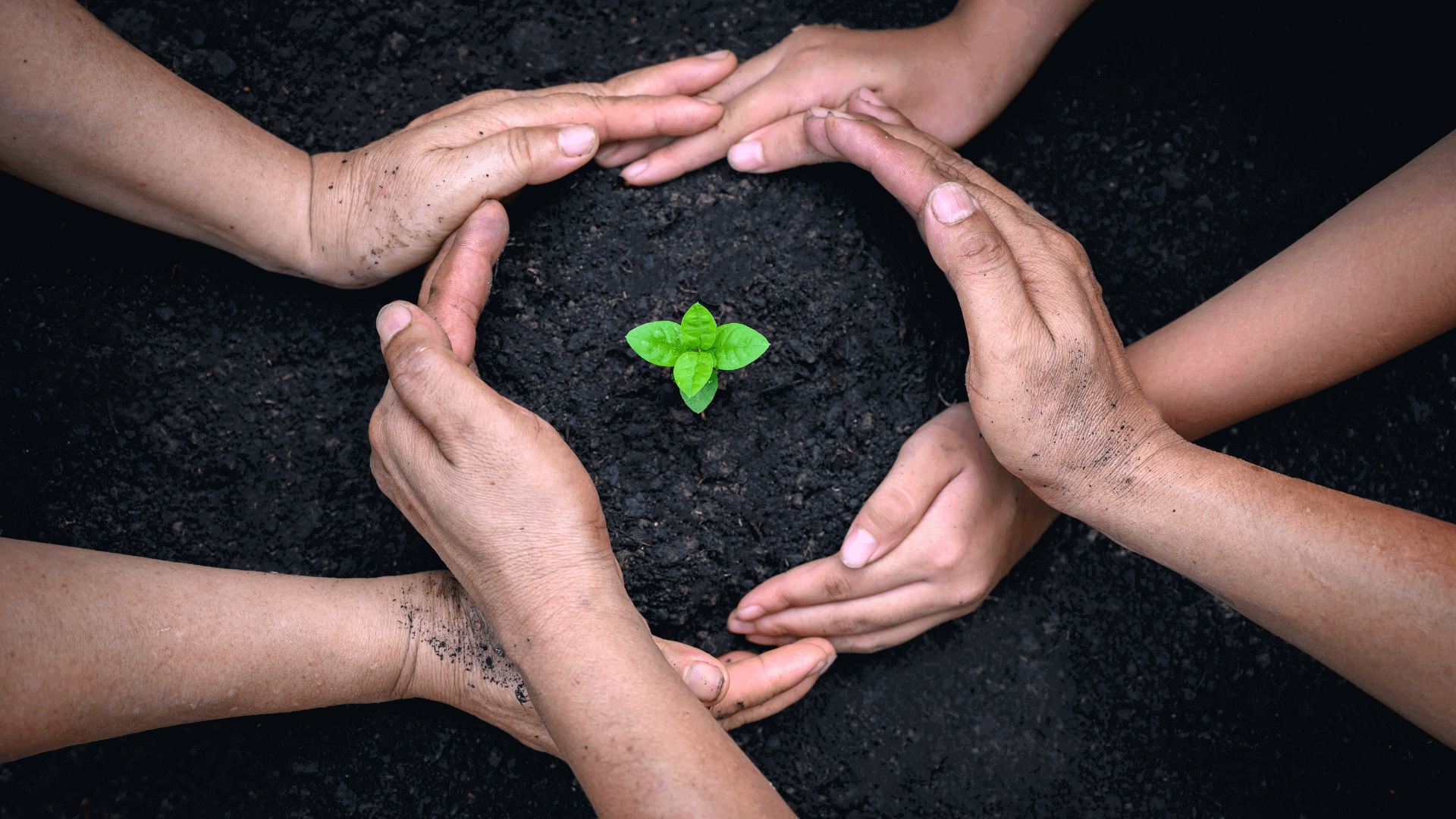 Principales retos en la articulación de redes medioambientales