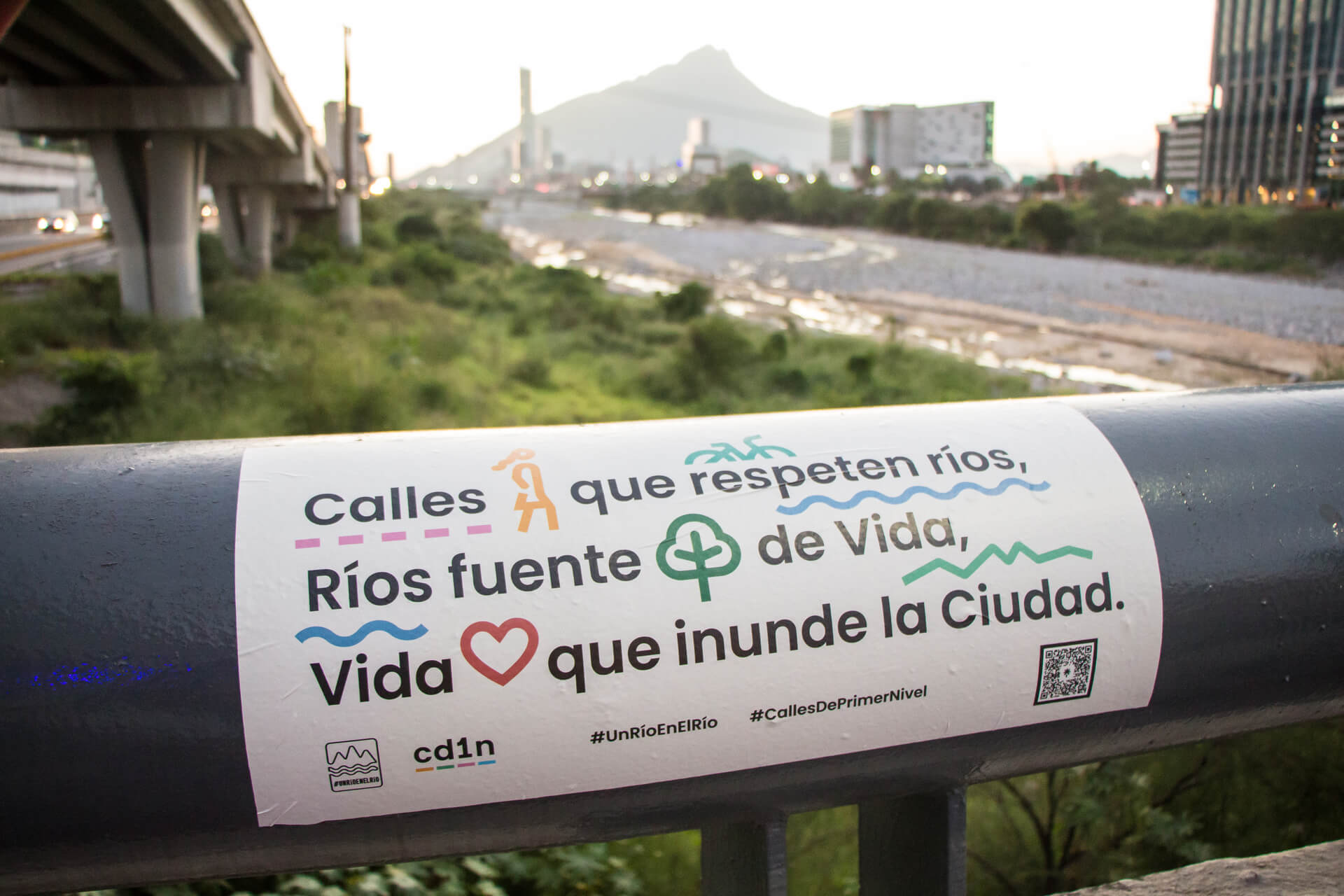 Articulación en red para lograr impacto colectivo: Calles De Primer Nivel