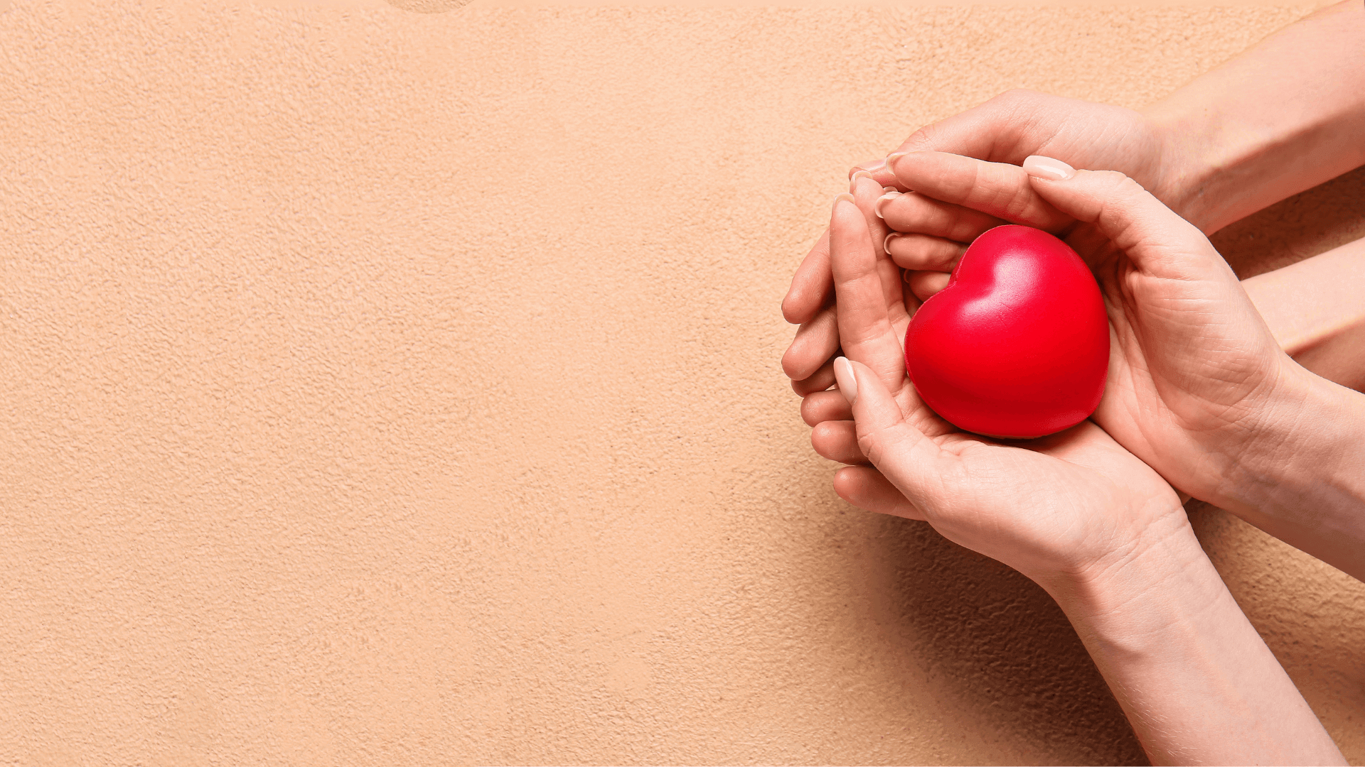 El corazón y sus latidos de vida